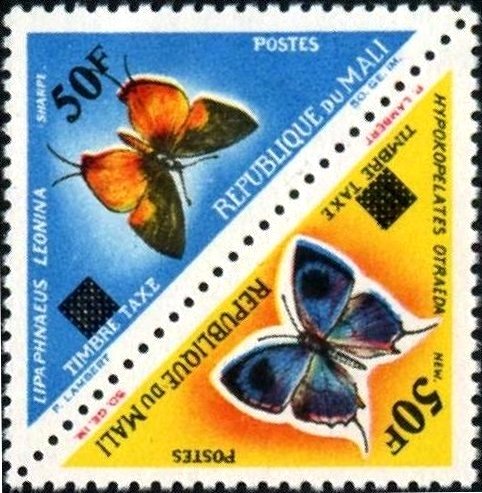 Orange Silver Speckle (Lipaphnaeus leonina), Butterfly (Hypo