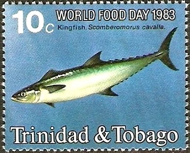 King Mackerel (Scomberomorus cavalla)