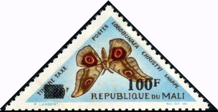 Moth (Lobounaea christyi)
