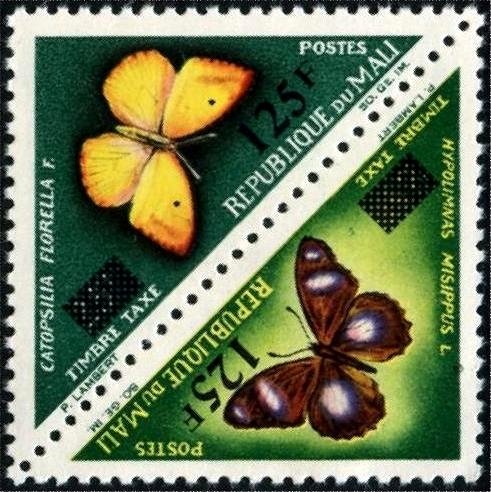African Migrant (Catopsilia florella), Danaid Eggfly (Hypoli