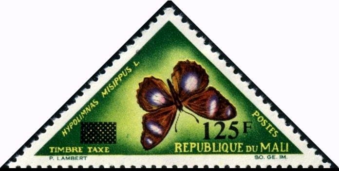 Danaid Eggfly (Hypolimnas misippus)