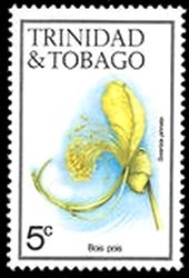 Stamp, Bois pois (Swartzia pinnata), Trinidad and Tobago,  , Flowers, Plants (Flora)