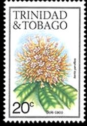 Isertia parviflora