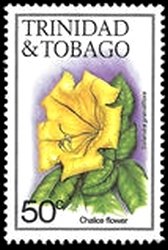 Chalice flower (Solandra grandiflora)