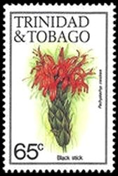 Black strick (Pachystachys coccinea)