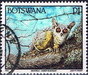 Stamp, Lesser bushbaby, Botswana,  