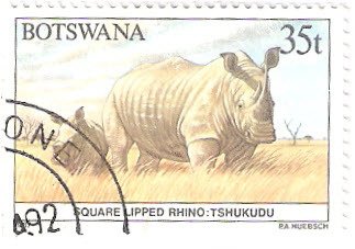Stamp, Square-lipped rhino, Botswana,  , Rhinoceroses