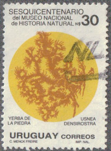 Toxodon platensis