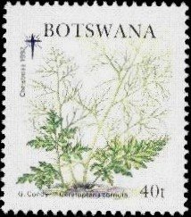 Stamp, Ceratopteris cornuta, Botswana,  