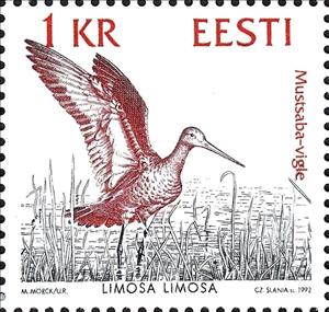 Stamp, Black-tailed Godwit (Limosa limosa), Estonia,  , Birds, Animals (Fauna), Joint Issues