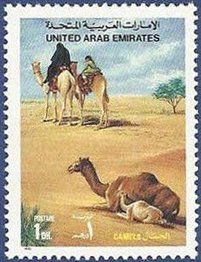 Stamp, Dromedary (Camelus dromedarius), United Arab Emirates,  