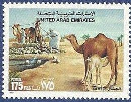 Stamp, Dromedary (Camelus dromedarius), United Arab Emirates,  