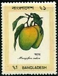 Stamp, Mangifera indica, Bangladesh,  , Fruits
