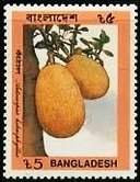 Stamp, Artocarpus heterophyllus, Bangladesh,  , Fruits