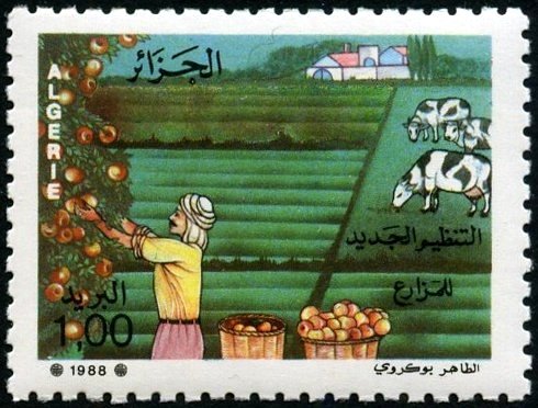 Harvest