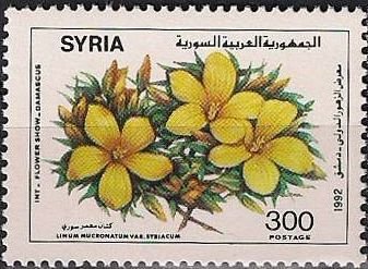 Stamp, Linum mucronatum, Syria,  , Flowers, Plants (Flora)