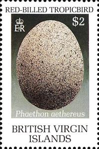 Stamp, Egg of red-billed tropic-bird (Phaeton aethereus), British Virgin Islands,  