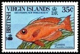 Glasseye (Priacanthus cruentatus)