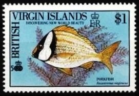 Stamp, Porkfish (Anisotremus virginicus), British Virgin Islands,  , Fishes