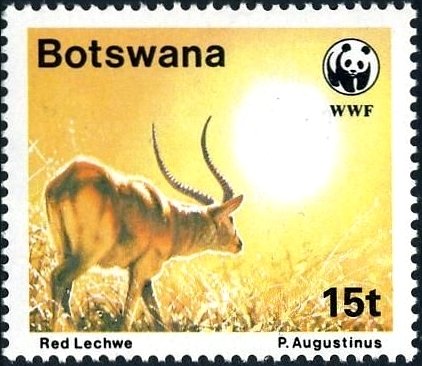 Red Lechwe (Kobus leche leche)