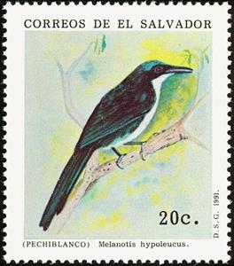 Stamp, Blue-and-white Mockingbird (Melanotis hypoleucus), El Salvador,  