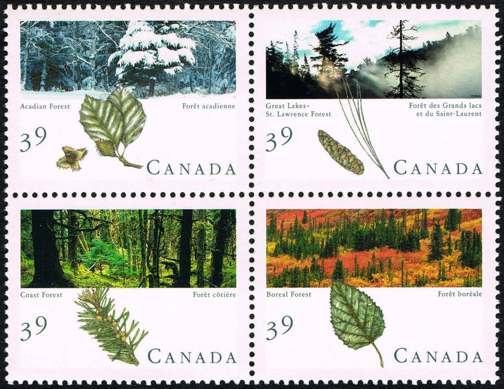 Canadian Forests