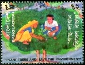 Couple planting tree