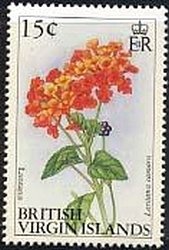 Lantana