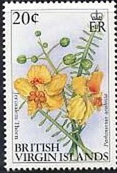Stamp, Jerusalem thorn, British Virgin Islands,  , Flowers