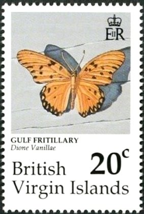 Gulf Fritillary (Agraulis vanillae)
