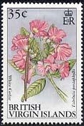 Stamp, White cedar, British Virgin Islands,  , Flowers