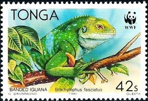 Stamp, Fiji Banded Iguana (Brachylophus fasciatus), Tonga,  