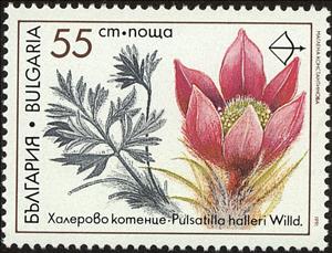 Stamp, Medicinal Plants - Pulsatilla halleri, Bulgaria,  , Flowers, Plants (Flora)