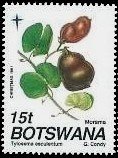 Stamp, Tylosema esculentum, Botswana,  