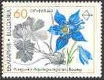 Medicinal Plants - Aquilegia negricans