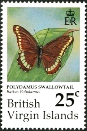 Polydamas Swallowtail (Battus polydamas)