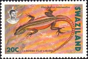 Stamp, Common Flat Lizard (Platysaurus intermedius), Swaziland,  