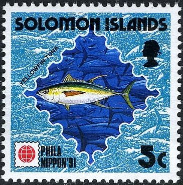 Yellowfin Tuna  (Thunnus albacares)