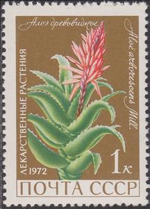 Stamp, Aloe arborescens, Soviet Union, USSR,  , Flowers, Cacti, Plants (Flora)