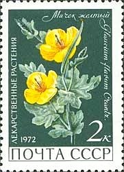 Glaucium flavum