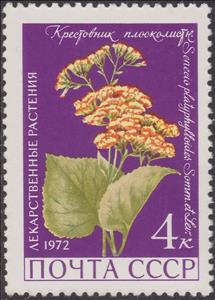 Stamp, Senecio platyphyllos, Soviet Union, USSR,  , Flowers, Plants (Flora)