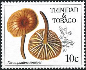 Stamp, Cross veined mushroom (Xeromphalina tenuipes), Trinidad and Tobago,  
