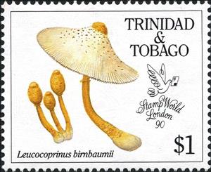 Stamp, Plantpot dapperling (Leucocoprinus birnbaumii), Trinidad and Tobago,  