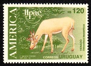 Stamp, Pampas Deer (Odocoileus bezoarticus), Uruguay,  , Animals (Fauna), Deer