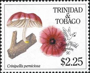 Stamp, Crinipellis perniciosa, Trinidad and Tobago,  