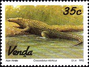 Stamp, Nile Crocodile (Crocodylus niloticus), South Africa, Homelands,  , Crocodiles