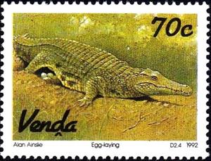 Stamp, Nile Crocodile (Crocodylus niloticus), South Africa, Homelands,  , Crocodiles