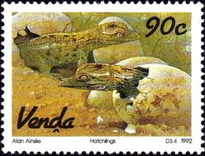 Stamp, Nile Crocodile (Crocodylus niloticus), South Africa, Homelands,  , Crocodiles