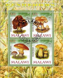 Souvenir Sheet, Mushrooms - III., Cinderellas,  , Mushrooms, Plants (Flora)