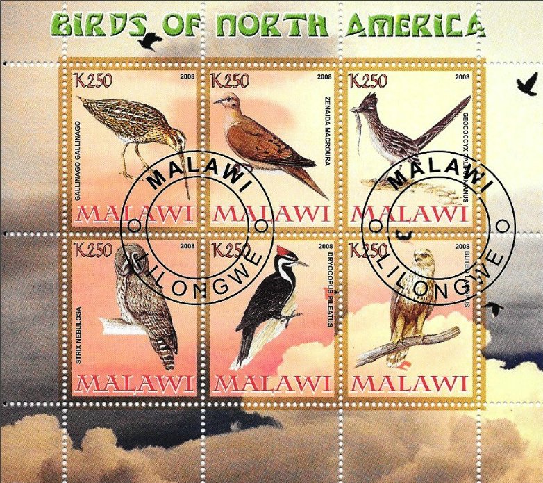 Birds of North America